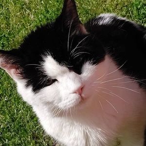 Meet your Posher, Jackie